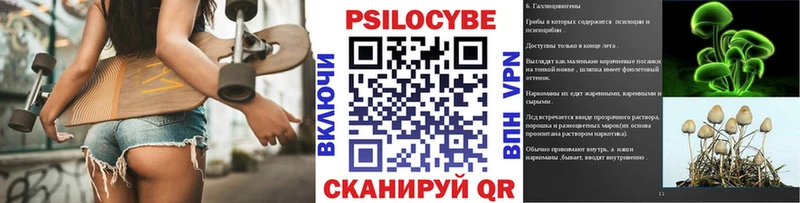 как найти наркотики  Шарыпово  Галлюциногенные грибы Magic Shrooms 