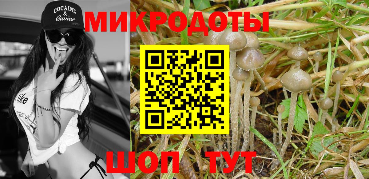 Галлюциногенные грибы GOLDEN TEACHER Шарыпово