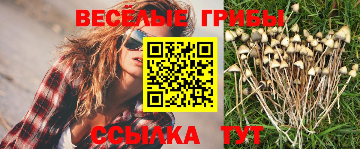 Галлюциногенные грибы GOLDEN TEACHER  Вход с VPN  Шарыпово 